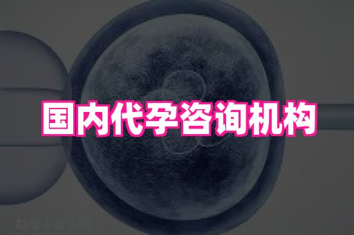 69助孕网 1