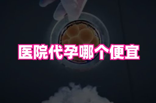 69助孕网 2